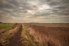 Somerset marsh