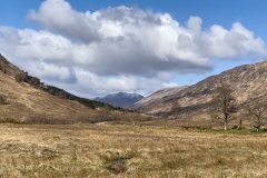 Awakening in Cona Glen