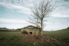 Second World War pillbox, West of Carhampton