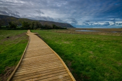Porlock Salt Marsh