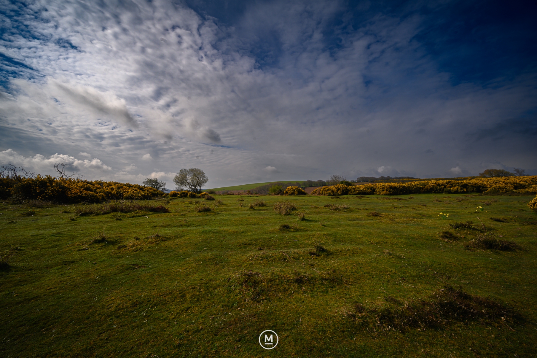 Exmoor Landscape
