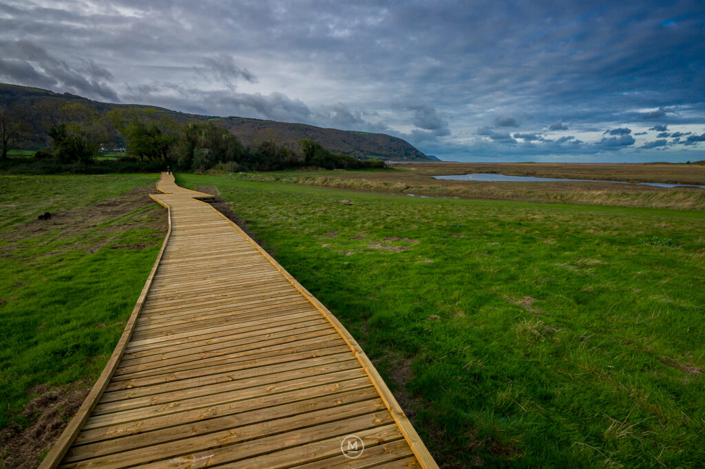 Porlock Salt Marsh